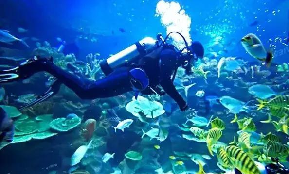 招商引资“开门红”！ 湖南新晃赴粤港澳大湾区“揽金”逾百亿